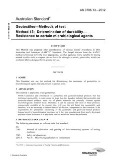 AS 3706.13 AS 3706.13