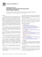 ASTM E2905/E2905M-12 ASTM E2905/E2905M-12