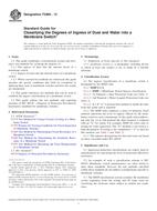 ASTM F2865-13 ASTM F2865-13