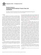 ASTM E2591-07(2013) ASTM E2591-07(2013)