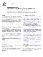 ASTM F3001-13 ASTM F3001-13