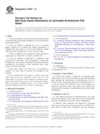 ASTM F3007-13 ASTM F3007-13