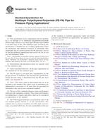 ASTM F2807-13 ASTM F2807-13