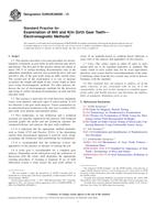 ASTM E2905/E2905M-13 ASTM E2905/E2905M-13