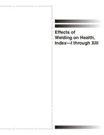 AWS EWH-INDEX-I-XIII-2008 AWS EWH-INDEX-I-XIII-2008