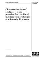 BS PD CEN/TR 13768:2004 BS PD CEN/TR 13768:2004