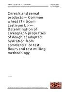 BS DD CEN/TS 15731 BS DD CEN/TS 15731