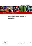 BS PD CEN/TR 16787 BS PD CEN/TR 16787