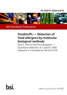 BS PD CEN/TS 15634-4 BS PD CEN/TS 15634-4