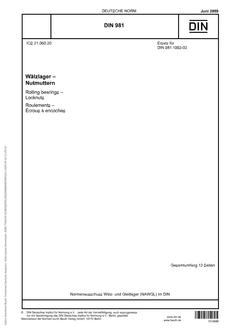 DIN 981 DIN 981