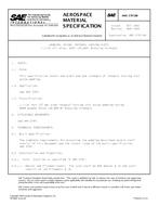 SAE AMS3797/6B SAE AMS3797/6B