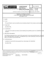 SAE AMS3798/10B SAE AMS3798/10B