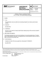 SAE AMS3799/1B