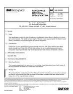 SAE AMS3892/6A SAE AMS3892/6A