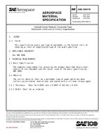 SAE AMS3898/1B SAE AMS3898/1B