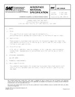 SAE AMS3899/2B SAE AMS3899/2B