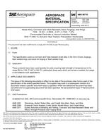 SAE AMS5671G SAE AMS5671G