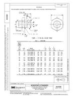 SAE AS4320 SAE AS4320