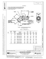 SAE AS21907C SAE AS21907C