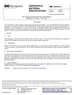 SAE AMS3901/8C