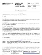 SAE AMS2483C