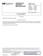 SAE AMS3125G SAE AMS3125G