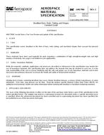 SAE AMS7906C SAE AMS7906C