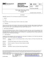 SAE AMS4899C SAE AMS4899C