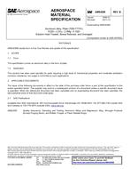 SAE AMS4206B SAE AMS4206B