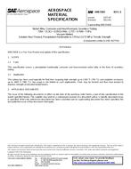 SAE AMS5583E SAE AMS5583E