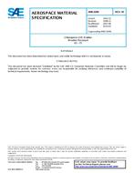 SAE AMS3209M SAE AMS3209M