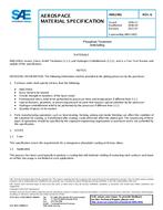 SAE AMS2481K SAE AMS2481K