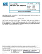 SAE AMSI83387B SAE AMSI83387B