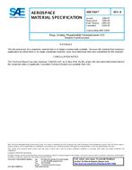 SAE AMS7284B SAE AMS7284B