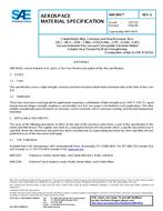 SAE AMS5841G SAE AMS5841G