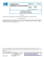 SAE AMS3718/6B SAE AMS3718/6B