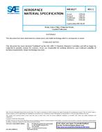 SAE AMS3812C SAE AMS3812C