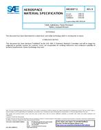 SAE AMS3856/3B SAE AMS3856/3B