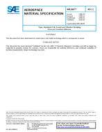 SAE AMS3807C SAE AMS3807C