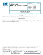 SAE AMS3894/9C SAE AMS3894/9C
