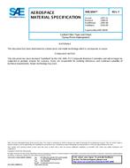 SAE AMS3894F SAE AMS3894F