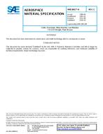 SAE AMS3801/4C SAE AMS3801/4C