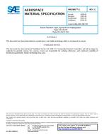 SAE AMS3867/1C SAE AMS3867/1C