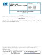 SAE AMS3867/5B SAE AMS3867/5B