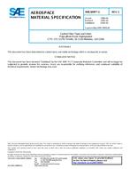 SAE AMS3899/1C SAE AMS3899/1C