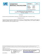 SAE AMS3906/1C SAE AMS3906/1C