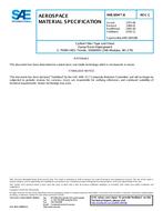 SAE AMS3894/8C SAE AMS3894/8C