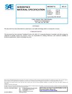 SAE AMS3903/6B SAE AMS3903/6B