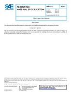 SAE AMS3613E SAE AMS3613E