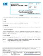 SAE AMS4174E SAE AMS4174E